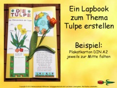 1-Anleitung-Lapbook-Tulpe.pdf